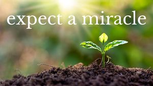 Expect Miracles to Happen