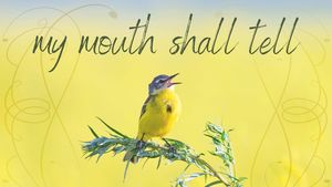 Email Verses 2024 (3)