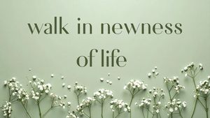 Email Verses 2024 (5)