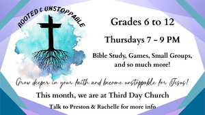 Copy of Rooted Youth Groups (1)