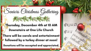 Seniors Christmas Party (1)