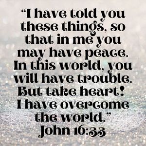 John 16 33