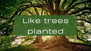 Email Verses 2024 (2)