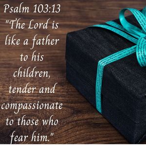 Psalm 103_13
