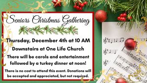 Seniors Christmas Party